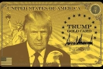 Trump's Gold Card, Trump's Corporate Gold Card, all about trump s gold platinum corporate gold cards for h 1b workers, Scientist Trump's Gold Card, Trump's Corporate Gold Card, all about trump s gold platinum corporate gold cards for h 1b workers, Scientist