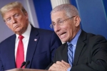 restrictions, Anthony Fauci, us could start reopening in may anthony fauci, Andrew cuomo