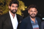 Venky and Rana movies, Venky and Rana latest, venky and rana daggubati s first web series in making, Viraata parvam Venky and Rana movies, Venky and Rana latest, venky and rana daggubati s first web series in making, Viraata parvam