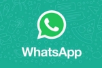 WhatsApp Native iPad App, WhatsApp Native iPad App latest breaking, whatsapp s native ipad app to release soon, Whatsapp native ipad app