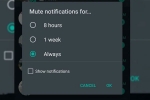 Whatsapp, wallpaper, whatsapp to bring always mute option for chats on android, Media guidelines