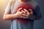 recovery after sudden cardiac death, difference between heart attack and heart failure, difference between a heart attack and cardiac arrest, Heart muscle