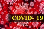 COVID- 19, World Health Organization, who renames the deadly coronavirus as covid 19, Snakes COVID- 19, World Health Organization, who renames the deadly coronavirus as covid 19, Snakes