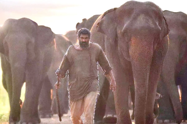 Aranya Movie Review, Rating, Story, Cast and Crew