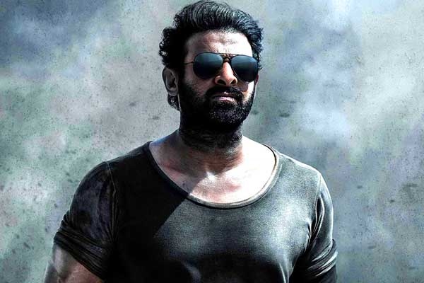 Prabhas' Salaar to have Malayalam Star