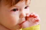 Conjunctivitis, Watery eyes in Babies news, real causes does your baby have watery eyes, Conjunctivitis