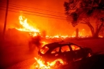 California Wildfire Emergency, California Wildfire news, california declares wildfire emergency, Metro