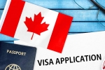 Canada's study visa approvals report, Canada's study visa approvals, canada s study visa approvals for indian students to drop by 50 in 2024, Indian origin