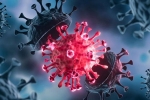 USA Coronavirus news, USA Coronavirus, delta variant makes usa tensed again, Pfizer