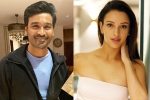 Triptii Dimri breaking news, Triptii Dimri new film, dhanush to romance animal actress triptii dimri, Vicky kaushal