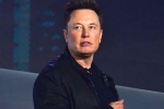 Elon Musk latest update, Elon Musk new update, elon musk talks about cage fight again, Snacks