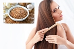 Flaxseeds latest, Flaxseeds breaking updates, how flaxseeds can help for a long and healthy hair, Cakes