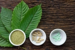 kratom, disorders care, this pain treating herbal supplement is not safe for use, Disorders care