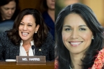 democratic primary, gabbard, kamala harris tulsi gabbard to begin campaign in february, Nandu