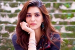 Bollywood, Kriti Sanon, kriti sanon tested positive for covid 19, Neetu kapoor