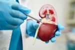 Creatinine Levels maintenance, Creatinine Levels, tips to lower your creatinine levels, Fibre