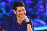 Vamshi Paidipally, Maharshi latest, mahesh follows innovative strategies for maharshi, Bharat ane nenu