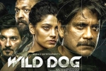 Wild Dog latest updates, Wild Dog deals, release date of nag s wild dog is out, Saiyami kher