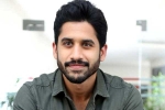 Naga Chaitanya interview, Naga Chaitanya films, naga chaitanya coming up with a strong lineup of films, Vijay kanakamedala