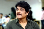 Nagarjuna news, Nagarjuna upcoming movie, nagarjuna in a periodic drama, Bangarraju