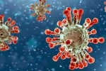 China, China Covid Row news, new china coronavirus variant traced in india, Omicron