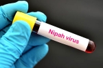 suspected Nipah Virus, Nipah Virus death rate, nipah virus is back again two deaths registered, Nipah viru