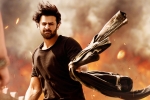 Shraddha Kapoor, Saaho latest, saaho ten days telugu states collections, Neil nitin mukesh