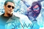 Salman Khan new, Salman Khan updates, salman khan to promote shivaay, Big boss