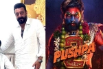 Mythri Movie Makers, Pushpa: The Rule business, sanjay dutt s surprise in pushpa the rule, Sanjay dutt