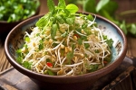 Sprouts health benefits, Sprouts breaking, benefits of adding sprouts to your diet, Healthy digestion