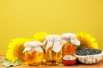 Sunflower Oil for heart, Sunflower Oil doctors, long term effects of consuming sunflower oil on heart health, Heart health