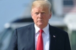 immigration, trump presidency timeline wikipedia, trump made 8 158 false claims in two years report, Midterm election
