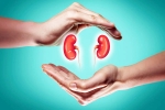 World Kidney Day 2025 tips, World Kidney Day 2025 breaking, world kidney day 2025 theme and health tips, Blood pressure