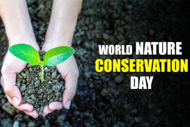 World Nature Conservation Day: How to Conserve Nature?