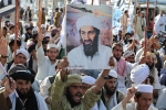 Al-Qaeda, Osama Bin Laden, bin laden continues to mobilize jihadists ten years after his death, Jihadists
