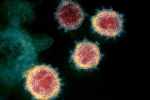 Mu variant news, Coronavirus in Columbia, one more new variant of coronavirus traced in columbia, Anthony fauci