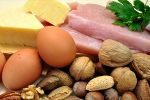 tissues, protein rich foods, why protein is an important part of your healthy diet, Healthy diet